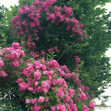 Stella Del Mare Privato Апартаменты *