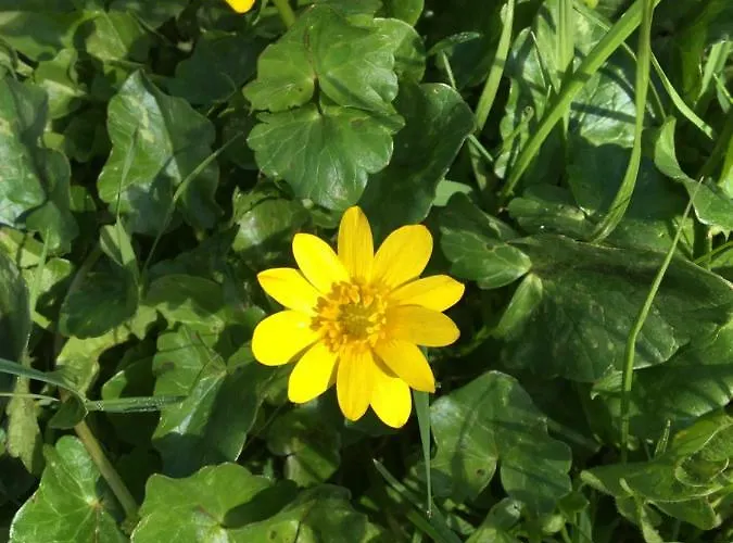 Stella Del Mare Privato Apartament