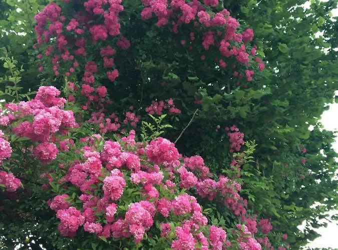 Stella Del Mare Privato Apartament *